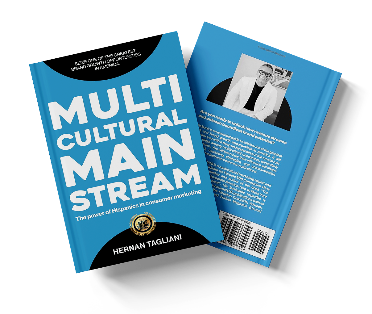 Multicultural Mainstream