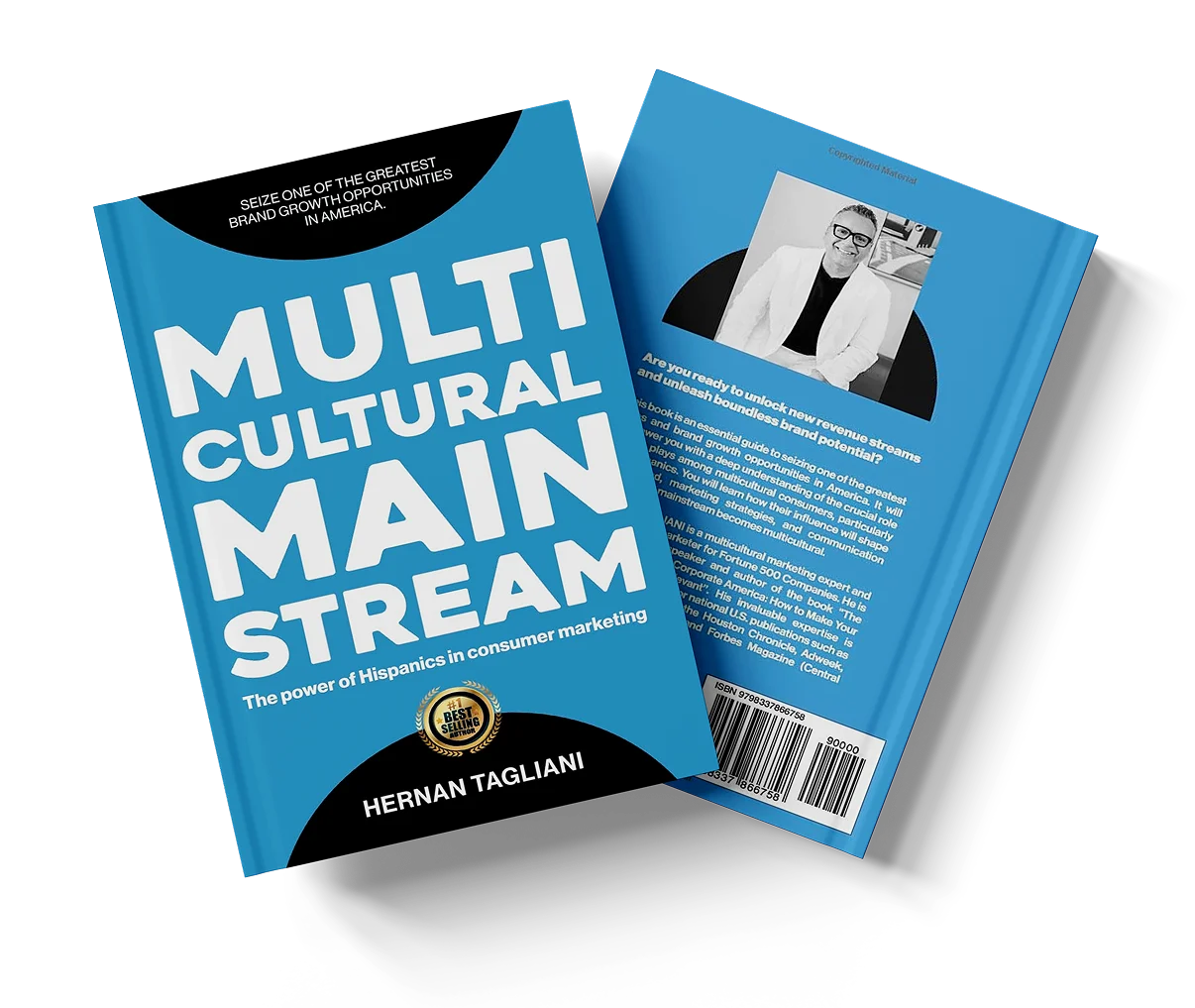 Multicultural Mainstream Multicultural Mainstream